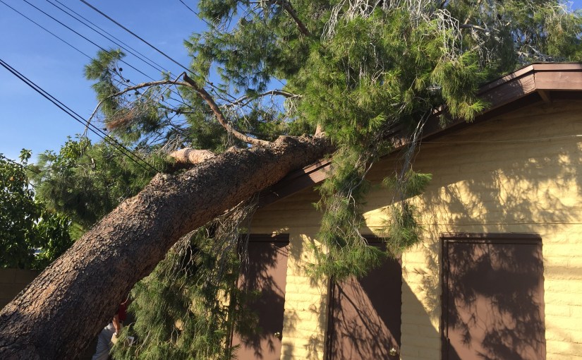 8 quick tips:  Why hire a Public Adjuster?   How does it help&nbsp;ME?